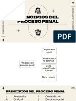 PRINCIPIOS DEL PROCESO PENAL 2