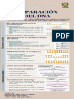 REPARACION DEL DNA