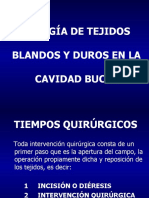 Rep T 5 Cirugía de Tejidos Duros y Blandos