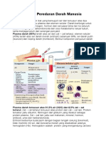 Bab 6 Sistem Peredaran Darah Manusia