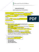 Formación Reticular