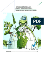 Projecto Biodiesel Final2