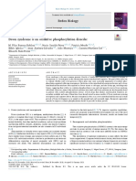Artículo Fosforilación Oxidativa-Grupo D-NRC 9859