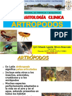 Artrópodos 2017