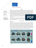 2009 MENA Neurospect Imagenologia funcional en psiquiatria
