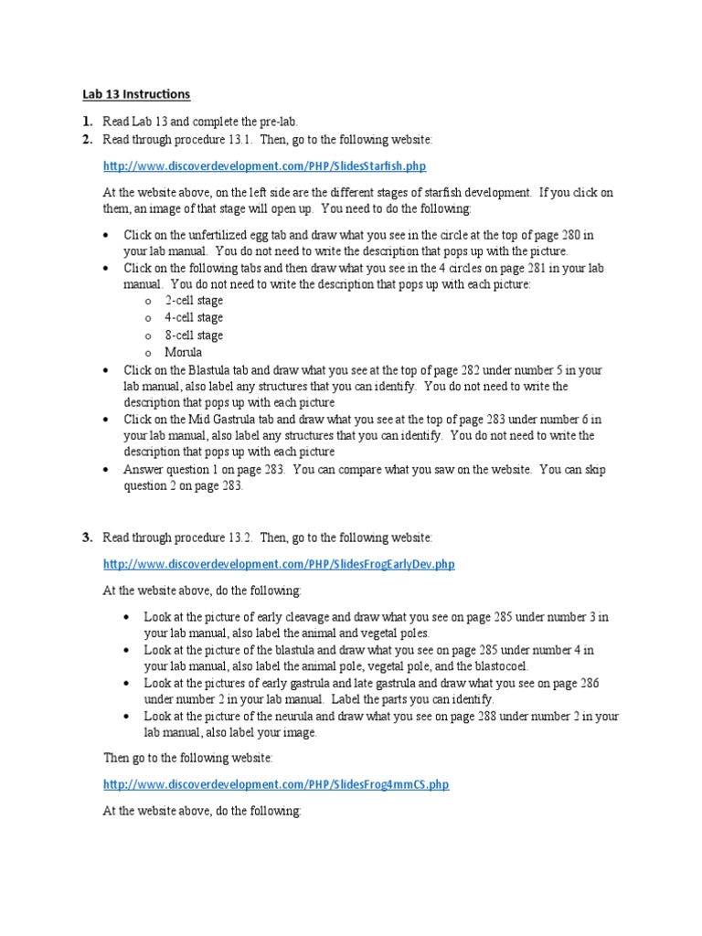 BIO 1113 Lab 13 Instructions Animal Development PDF Organisms