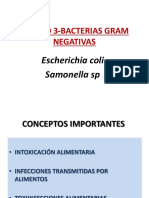 UNIDAD 3.bacilos Gram Negativos - E. Coli y Salmonella