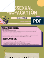 Assexual Propagation: Marcotting