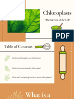 Chloroplasts: "The Kitchen of The Cell"