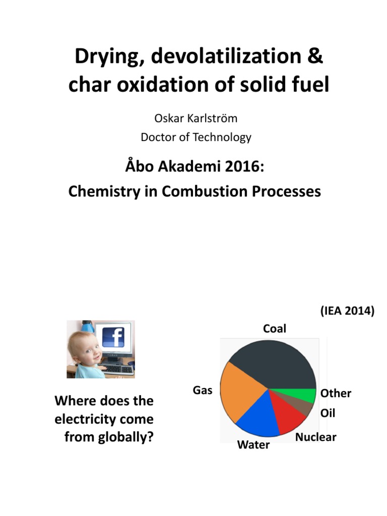 Solid Fuel Combustion Processes | PDF | Gasification | Combustion