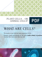 Plant Cells Vs Animal Cells