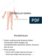 Anatomy Fisiologi Pembuluh Darah