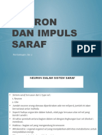 146 - 20210928083742 - Neuron, Impuls Saraf - Sinaps