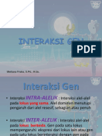 Interaksi Gen