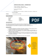 Informe Técnico - 0001-22 - Sco-0661 Falla en Cilindros de Levante y Dirección