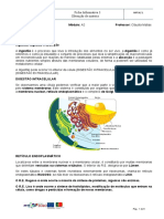 Ficha Informativa3 -A2 -Perpétuo