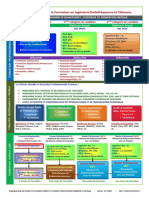 Organigramme-Formation Sirtcom