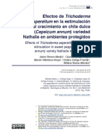 Efectos de Trichoderma Del Crecimiento en Chile Dulce (Capsicum Annum) Variedad Nathalie en Ambientes Protegidos