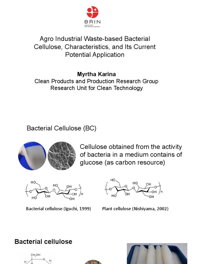 Agro Waste-Based Bacterial Cellulose Applications | PDF | Cellulose ...