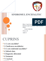 Sindromul Encefalitic