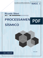 Processamento - Sísmico Texto Base