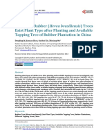 Studies On Rubber (Hevea Brasiliensis) Trees