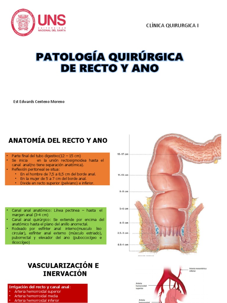 Patología Anorectal | PDF | Hemorroides | Especialidades Medicas