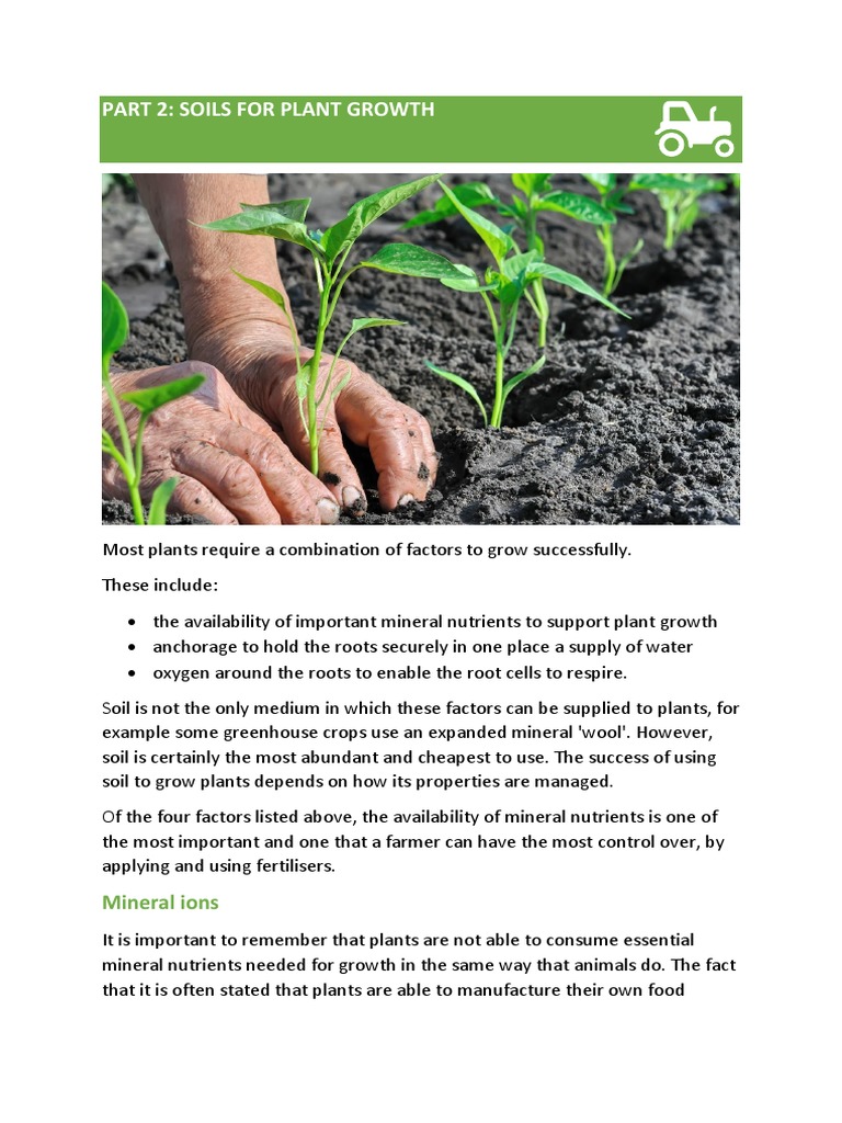 Importance of Soil for Plant Growth | PDF | Plant Nutrition | Soil