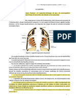 1.cours Respiration 2021 Licence