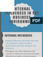 Internal Influences In Business Environment