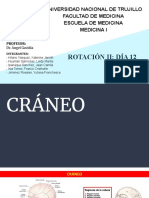 CRÁNEO