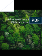 A Close Look at The Quality of REDD+ Carbon Credits (2020) V2.0