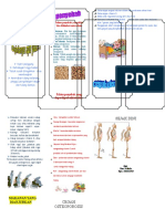 Leaflet Osteoporosis Irnani Farida