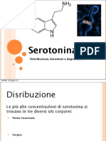 Fdocumenti.com Serotonina Ed Effetti Sui Propri Recettori
