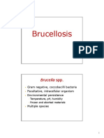 Brucellosis Brucellosis: Brucella Spp. Brucella SPP