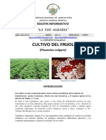 Vozagraria Nª 06-2013_ Cultivo de Frijol