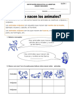 Ficha de Como Nacen Los Animales para Segundo de Primaria