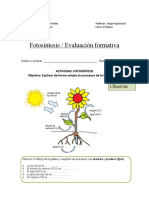 Fotosíntesis evaluación formativa