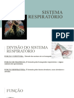 Sistema Respiratório