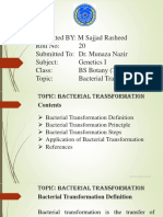 Bacterial Transformation Presentation