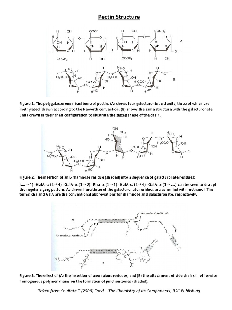 Extra Handout, Pectin Structure 2020 | PDF