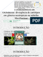 Seminário-de-Citogenética