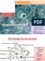 Amebiasis Teran PDF