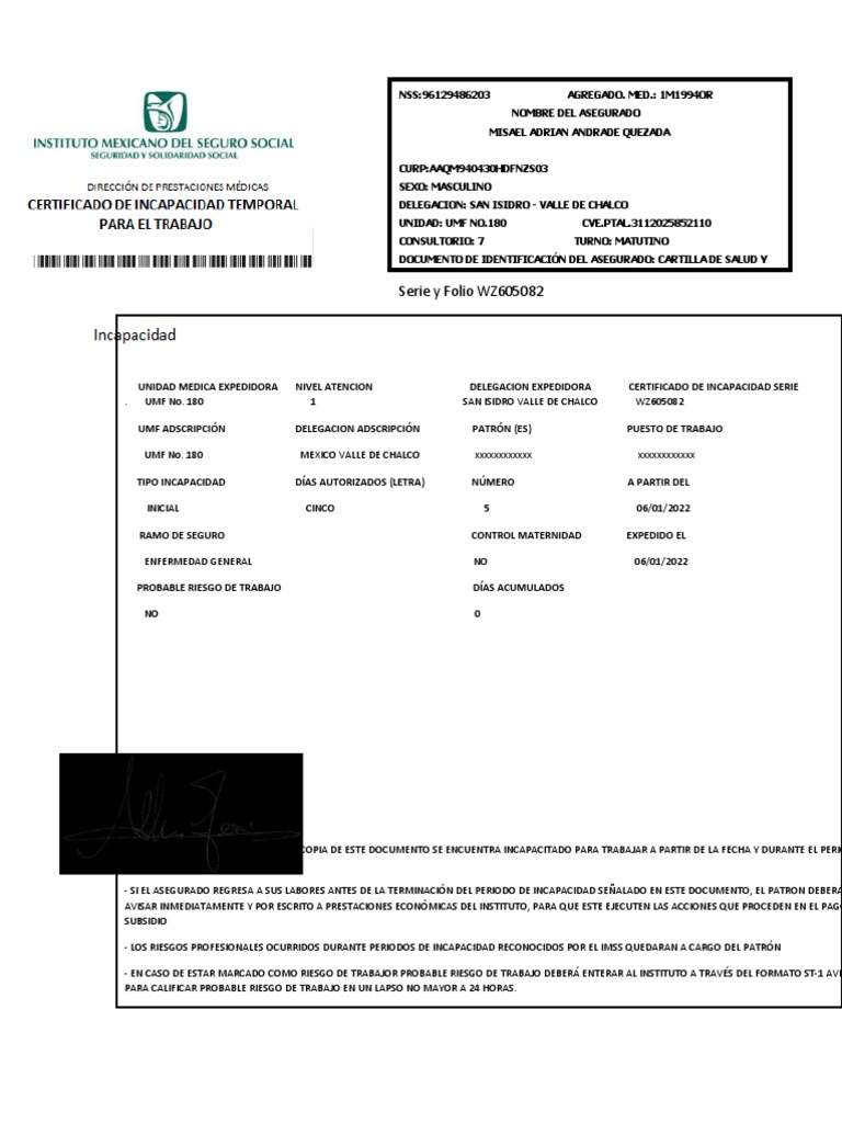 Formato de Incapacidad IMSS 2022 | PDF | Ciencias de la Salud