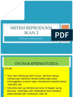 Sistem Reproduksi Ikan 2