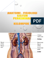 Anfis Perkemihan