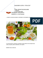 TAREA 3 - PLANTAS MEDICINALES - PROYECTOS ESCOLARES 8vos