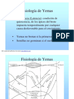 Clase 5 Fisiologia Yemas (Letargo)