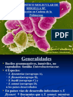 Detección molecular de Shigella sp. mediante PCRDOCUMENTODIAGNOSTICO MOLECULAR DE        SHIGELLA SP.    Reacción en Cadena de la           Polimerasa