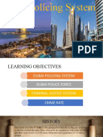 Dubai Policing System Explained